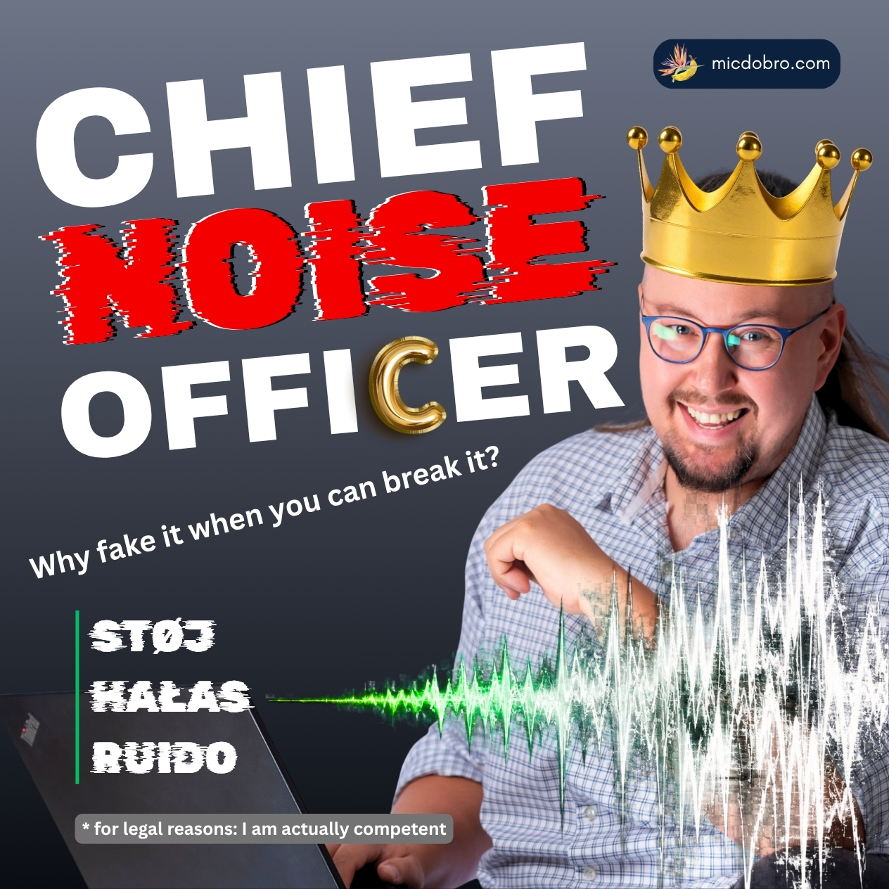 Chief Noise Officer